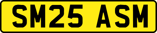 SM25ASM