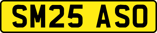 SM25ASO