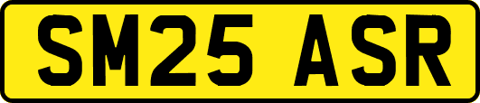 SM25ASR