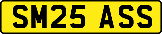 SM25ASS