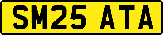 SM25ATA