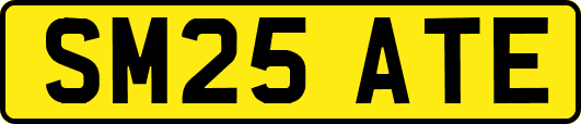 SM25ATE