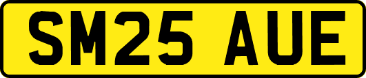 SM25AUE