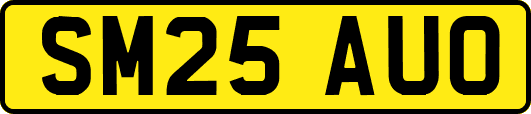 SM25AUO