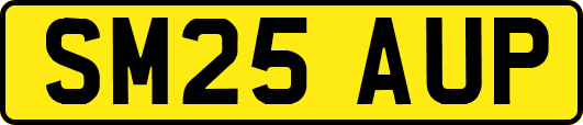 SM25AUP