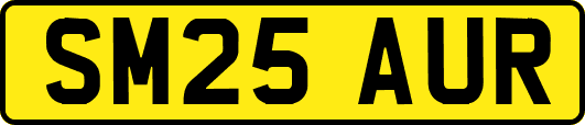 SM25AUR