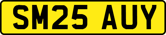 SM25AUY