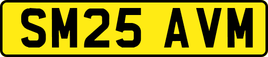 SM25AVM