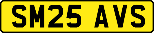 SM25AVS