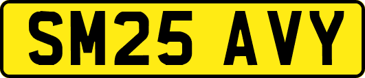 SM25AVY
