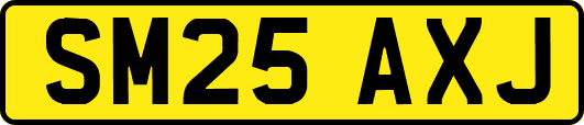 SM25AXJ