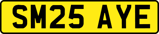 SM25AYE