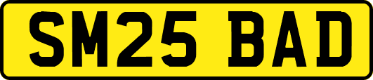 SM25BAD