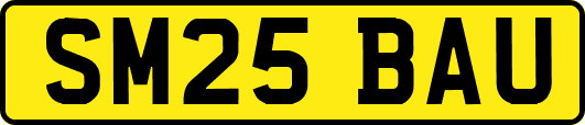 SM25BAU
