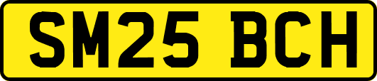 SM25BCH