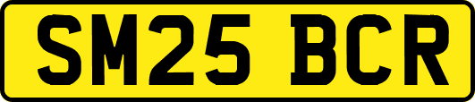 SM25BCR