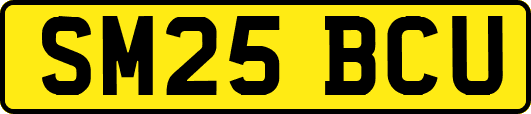 SM25BCU