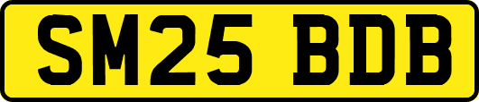 SM25BDB