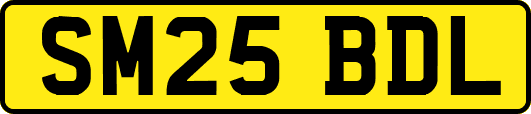 SM25BDL