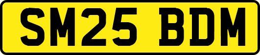 SM25BDM