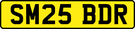SM25BDR