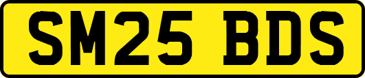 SM25BDS