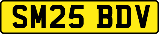SM25BDV