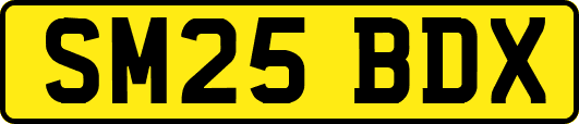 SM25BDX