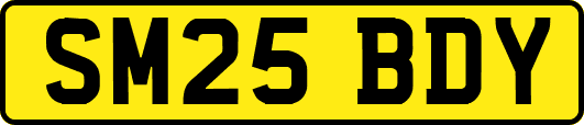 SM25BDY