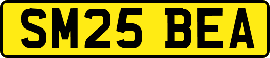 SM25BEA