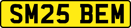 SM25BEM