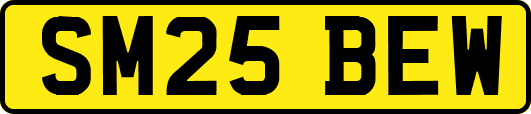 SM25BEW