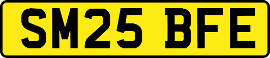 SM25BFE