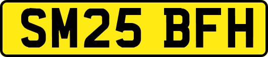 SM25BFH