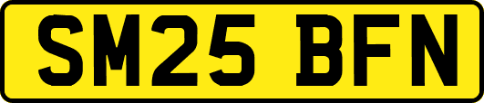 SM25BFN