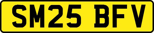 SM25BFV
