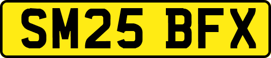 SM25BFX