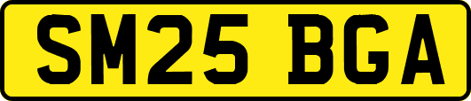 SM25BGA
