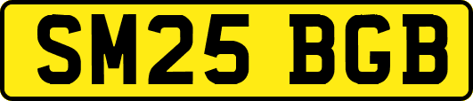 SM25BGB