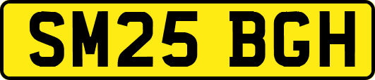 SM25BGH