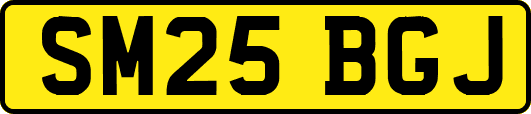 SM25BGJ