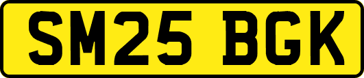 SM25BGK