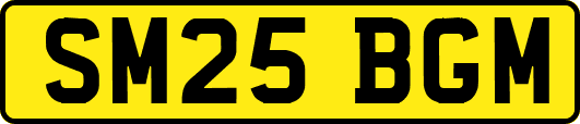 SM25BGM