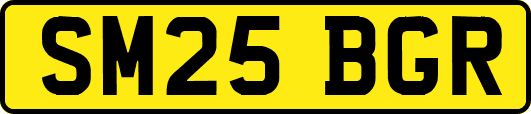 SM25BGR