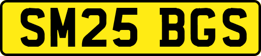 SM25BGS