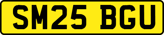 SM25BGU