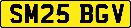 SM25BGV