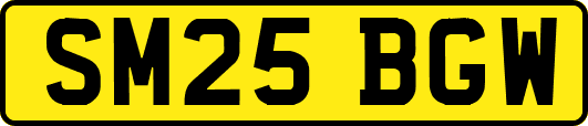 SM25BGW