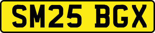 SM25BGX