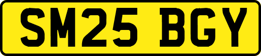SM25BGY